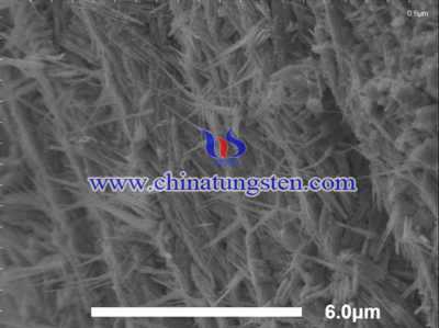 �����u�{�׽Y(ji��)��(g��u)