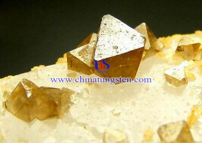 �u���V�DƬ