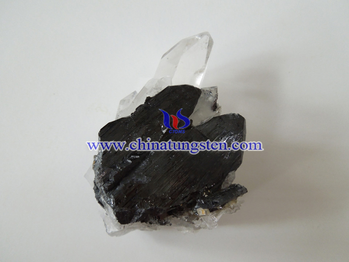 �u���V�DƬ