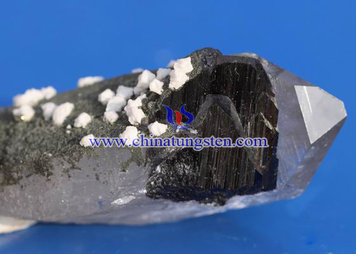 ���u���V�DƬ