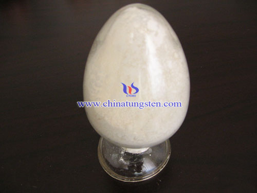 ϡ�������