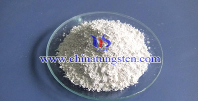 ϡ�������