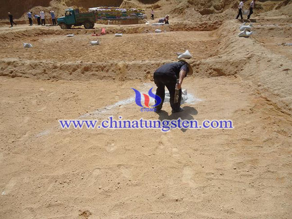 �Ƿ��_��ϡ���DƬ