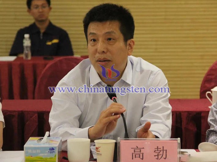 中國鎢業(yè)協(xié)會主席團主席、中鎢高新材料股份有限公司副總經(jīng)理高勃
