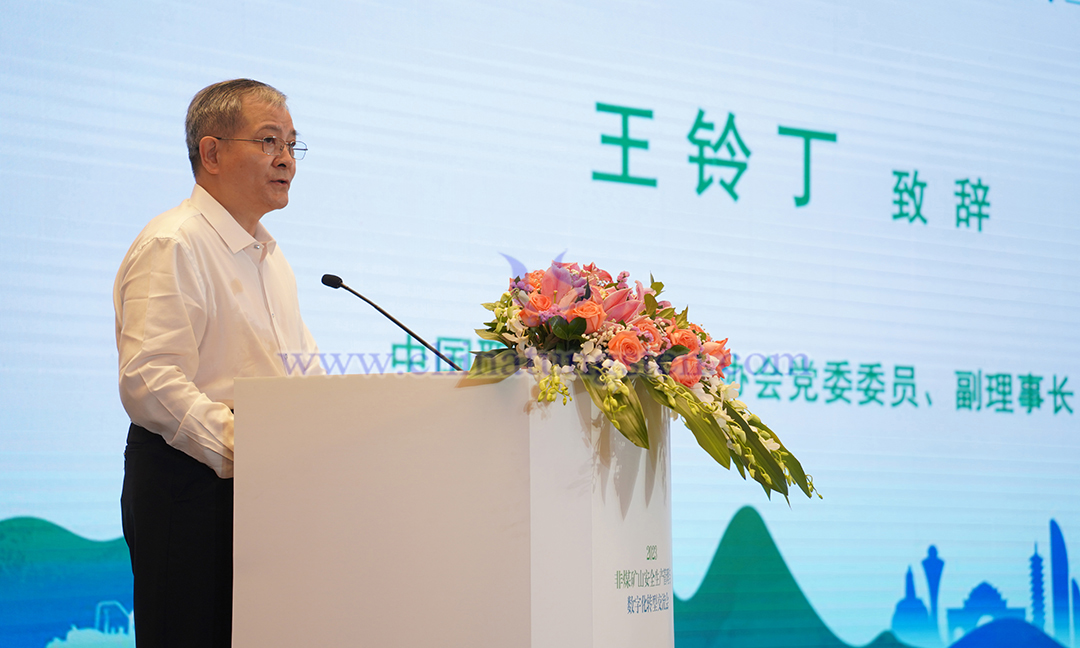 中國(guó)職業(yè)安全健康協(xié)會(huì)黨委委員、副理事長(zhǎng) 王鈴丁